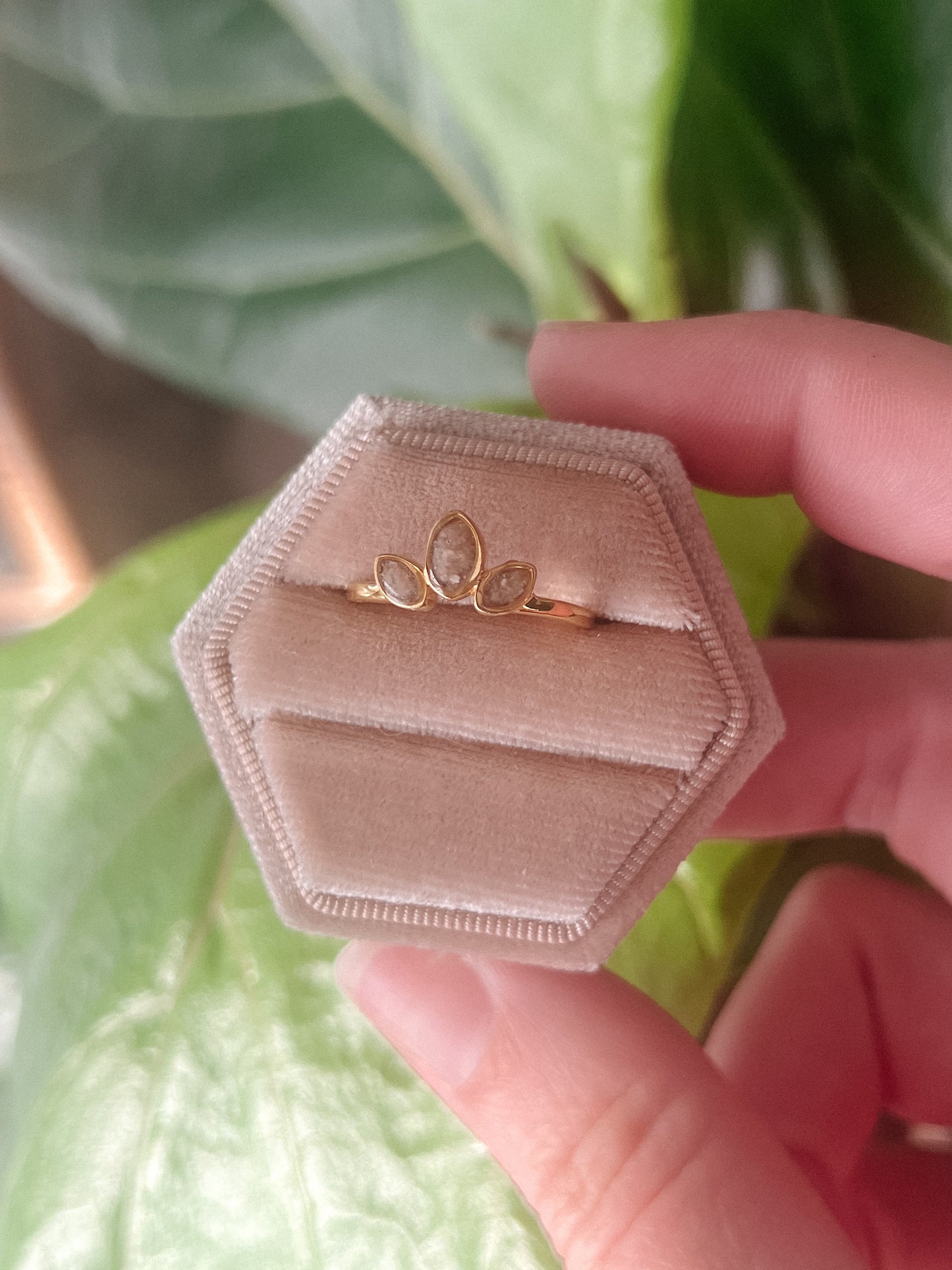 The Neave Ring