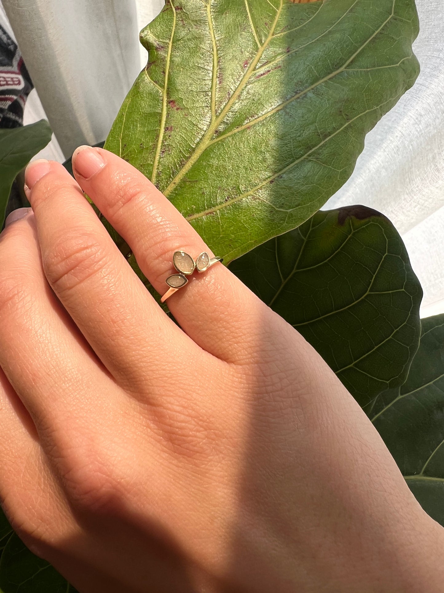 The Neave Ring