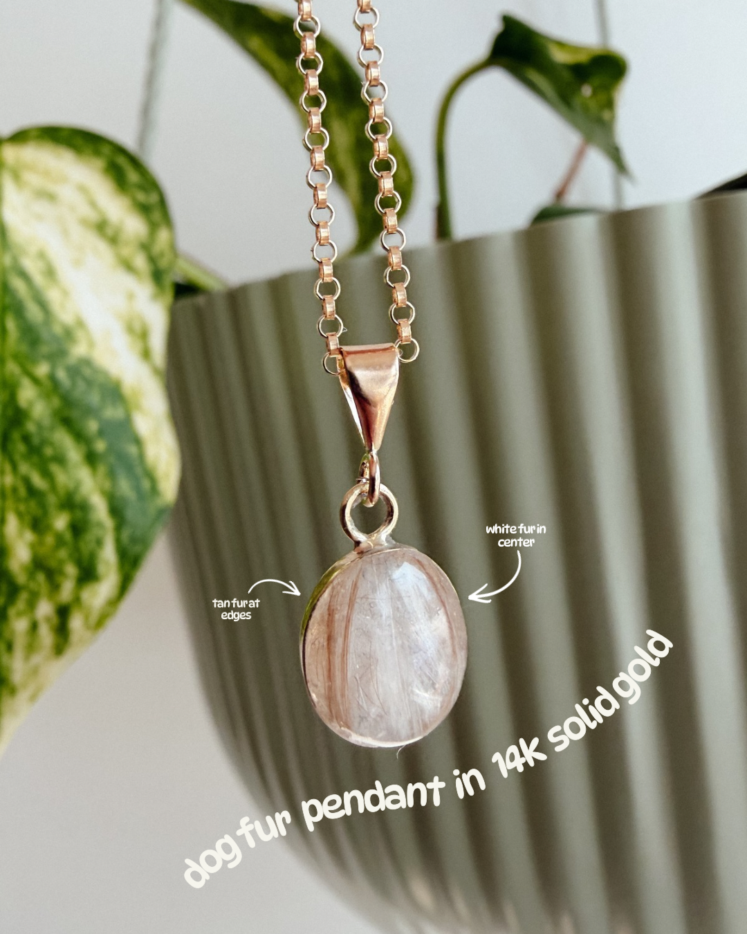 The Oval Necklace