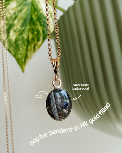 The Oval Necklace
