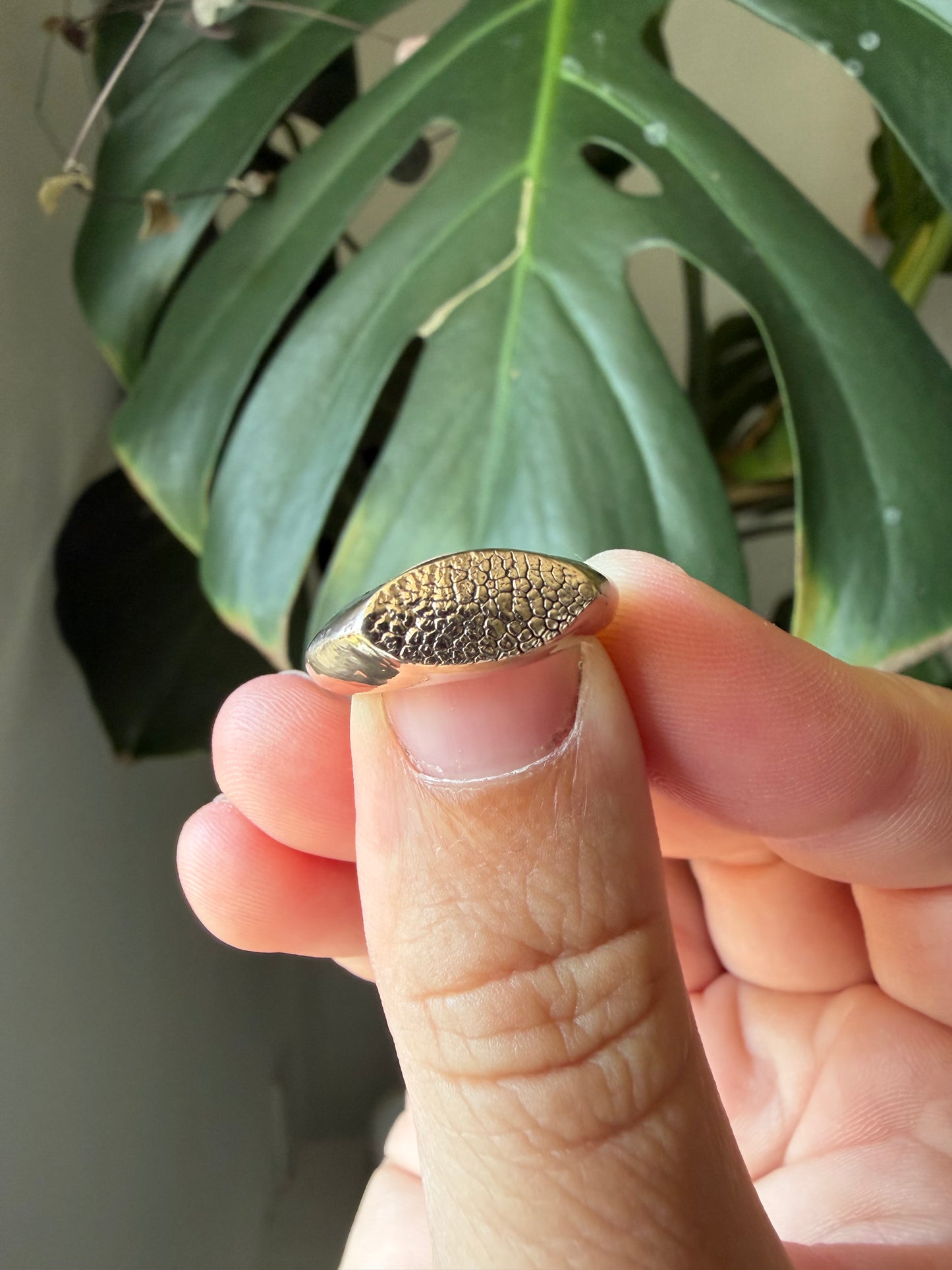 The Imprint Signet Ring